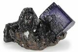 Purple Cubic Fluorite Crystal on Sphalerite - Elmwood Mine #244243-1
